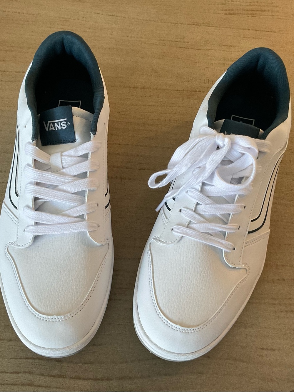 Vans Men’s Brooklyn Skater Shoe